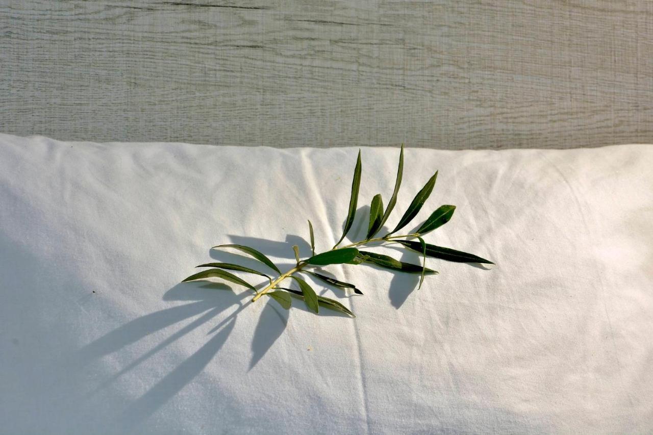 Ago Exclusive Suite Corfu  Eksteriør bilde